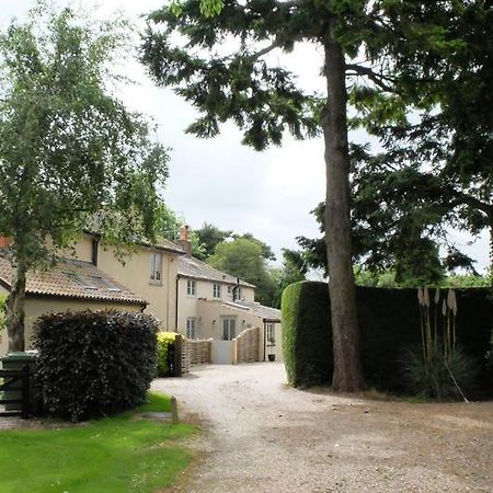 هولت Pippin Heath House B&B المظهر الخارجي الصورة