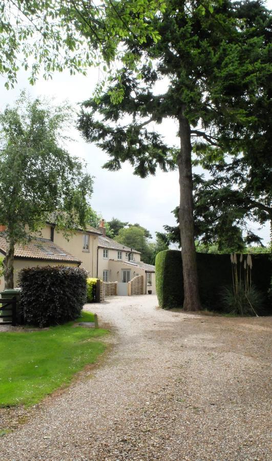 هولت Pippin Heath House B&B المظهر الخارجي الصورة